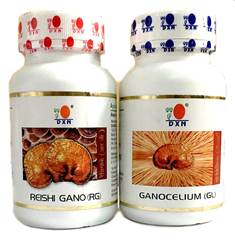 Reishi Ganoderma & Ganocelium Ca....