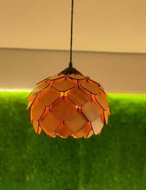 WOODEN LIGHT OR CEILING LIGHT FO....