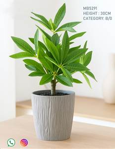 Realistic Artificial plant for d....