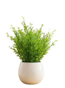 realistic artificial plant for i....