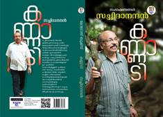 Kannadi