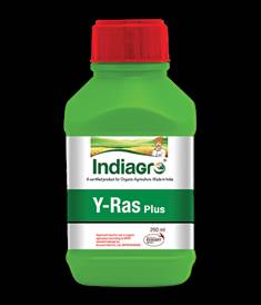 Y-Ras plus 250ml
